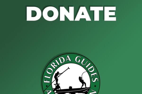 Donate